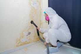 Naples, TX Mold Remediation Company